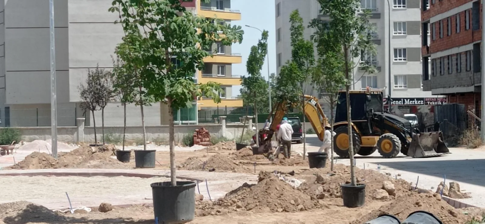 Park ve Yeşil Alan Düzenlemesi